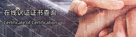 证书在线查询